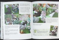 The WINTER GARDEN &ndash; Over 35 Step-by-Step Projects for Small Spaces Using Foliage and Flowers, Berries and Blooms, and Herbs and Produce