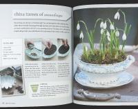 The WINTER GARDEN &ndash; Over 35 Step-by-Step Projects for Small Spaces Using Foliage and Flowers, Berries and Blooms, and Herbs and Produce
