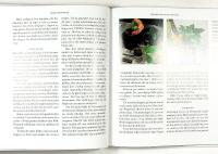 &Auml;NGLATRUMPETER och spikklubbor