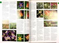 BOTANICA &ndash; Illustrerat botaniskt lexikon med &ouml;ver 10.000 tr&auml;dg&aring;rdsv&auml;xter inklusive odlingsr&aring;d