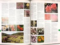 BOTANICA &ndash; Illustrerat botaniskt lexikon med &ouml;ver 10.000 tr&auml;dg&aring;rdsv&auml;xter inklusive odlingsr&aring;d