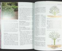 HYDRANGEAS &ndash; [Hortensior]