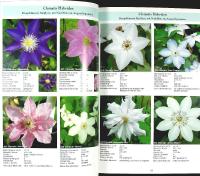 UNSERE CLEMATIS &ndash; F.M. Westphal