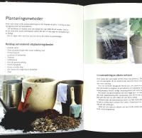 KRUKOR UTE &ndash; Arrangera och kombinera v&auml;xter i kruka