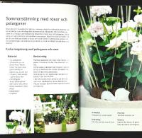 KRUKOR UTE &ndash; Arrangera och kombinera v&auml;xter i kruka
