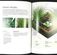 KRUKOR UTE &ndash; Arrangera och kombinera v&auml;xter i kruka