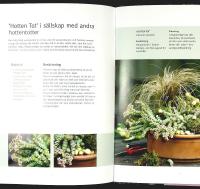 KRUKOR UTE &ndash; Arrangera och kombinera v&auml;xter i kruka