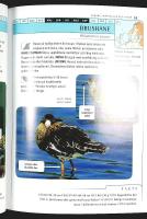 IDENTIFIERA F&Aring;GLAR &ndash; 160 arter i norra Europa