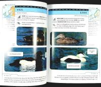 IDENTIFIERA F&Aring;GLAR &ndash; 160 arter i norra Europa