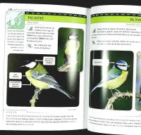 IDENTIFIERA F&Aring;GLAR &ndash; 160 arter i norra Europa