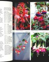 FUCHSIAS &ndash; A Colour Guide &ndash; 