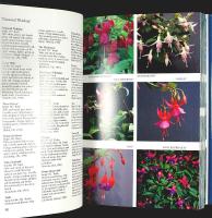 FUCHSIAS &ndash; A Colour Guide &ndash; 