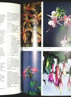 FUCHSIAS &ndash; A Colour Guide &ndash; 