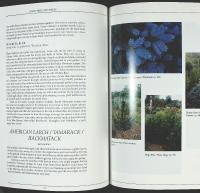 HARDY TREES and SHRUBS &ndash; A Guide to Disease-Resistant Varieties for the North
