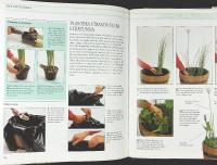 Prismas stora bok om DEN LILLA TR&Auml;DG&Aring;RDEN