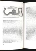 GRODDJUR OCH KR&Auml;LDJUR i svensk folklig traditIon