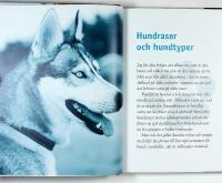 FREDRIK STEEN svarar p&aring; HUNDFR&Aring;GOR