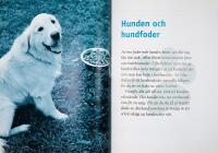 FREDRIK STEEN svarar p&aring; HUNDFR&Aring;GOR