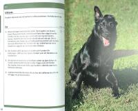 HUNDra % RALLYLYDNAD