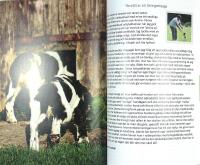 HUNDra % RALLYLYDNAD