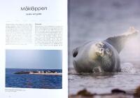 NATURP&Auml;RLOR I SK&Aring;NE