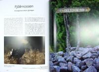 NATURP&Auml;RLOR I SK&Aring;NE