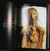 Encyclopaedia ANATOMICA – Museo La Specola Florence
