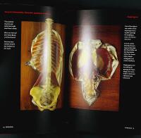 Encyclopaedia ANATOMICA – Museo La Specola Florence