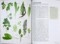 GR&Ouml;NT &bull; V&auml;lja &bull; Hantera &bull; Tillaga