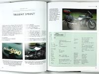 HINCKLEY TRIUMPHS &ndash; The First Generation