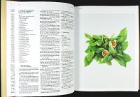 THE GARDEN CHEF &ndash; Recipes and Stories from Plant to Plate