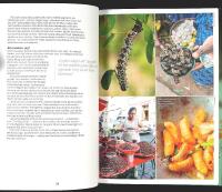 &Auml;TA INSEKTER &ndash; Entomaten och det stora proteinskiftet