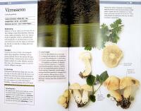 V&Aring;RA VANLIGA SVAMPAR &ndash; En best&auml;mningsbok