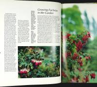 FUCHSIA &ndash;&nbsp;a Hamlyn Care Manual