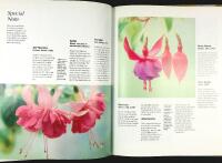 FUCHSIA &ndash;&nbsp;a Hamlyn Care Manual