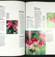 FUCHSIA &ndash;&nbsp;a Hamlyn Care Manual