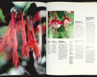 FUCHSIA &ndash;&nbsp;a Hamlyn Care Manual