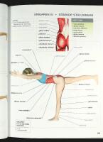 YOGANS ANATOMI &ndash; 75 &ouml;vningar som ger maximalt resultat