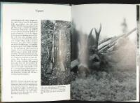 BOCKJAKT &ndash; Handbok om jakten p&aring; hornb&auml;rande r&aring;bock