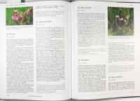 FLORAN I SK&Aring;NE &ndash; Vegetation och utflyktsm&aring;l