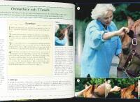 H&Auml;STMASSAGE & MARK&Ouml;VNINGAR med TTouch och TTeam