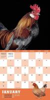 EXTRAORDINARY CHICKENS &ndash; 2021 Wall Calendar