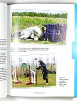 LUGN OCH FOKUSERAD HUND 