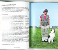 LUGN OCH FOKUSERAD HUND 