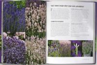 PLANTSKOLOR V&Auml;RDA EN OMV&Auml;G &ndash; Gr&ouml;na tips, favoriter och v&auml;xtportr&auml;tt