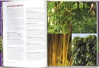 PLANTSKOLOR V&Auml;RDA EN OMV&Auml;G &ndash; Gr&ouml;na tips, favoriter och v&auml;xtportr&auml;tt