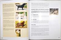 LABRADOR Encyclopaedia