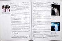 LABRADOR Encyclopaedia