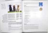LABRADOR Encyclopaedia