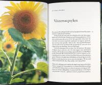 CLARAS TR&Auml;DG&Aring;RD &ndash; En h&auml;ngiven nyb&ouml;rjares succ&eacute;er och misslyckanden